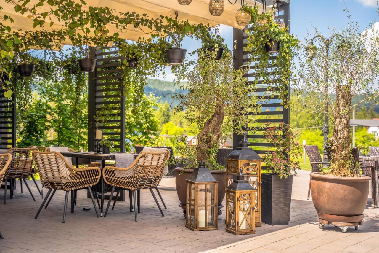 Hotel Srebrny Bucznik Wellness & Restaurant Istebna Exteriér fotografie